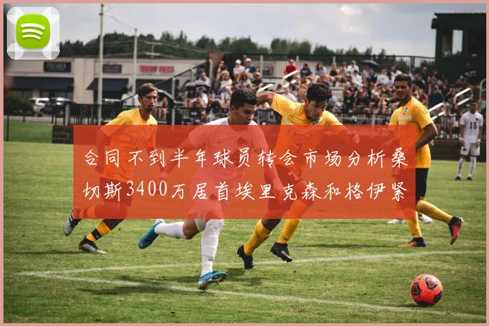 合同不到半年球员转会市场分析桑切斯3400万居首埃里克森和格伊紧随其后