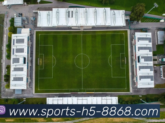 App Interface Preview